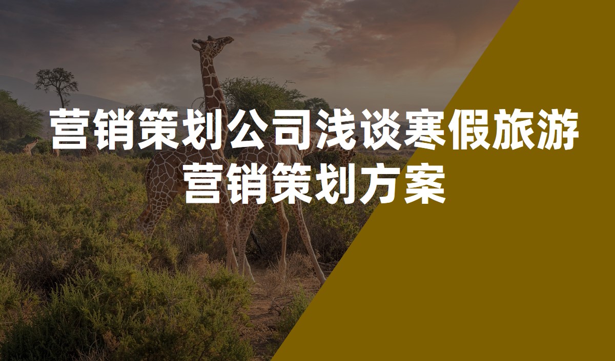 營(yíng)銷(xiāo)策劃公司淺談寒假旅游營(yíng)銷(xiāo)策劃方案