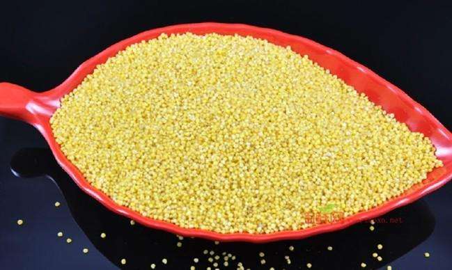 等級不同定位不同說說農(nóng)產(chǎn)品小米的品牌定位