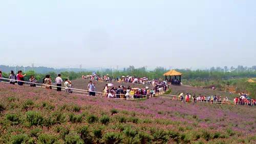 農(nóng)業(yè)品牌策劃能給公司帶來什么利益呢？