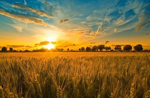 品牌定位，農(nóng)業(yè)品牌定位