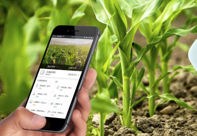 農(nóng)業(yè)發(fā)展戰(zhàn)略策劃 農(nóng)產(chǎn)品品牌策劃設計公司