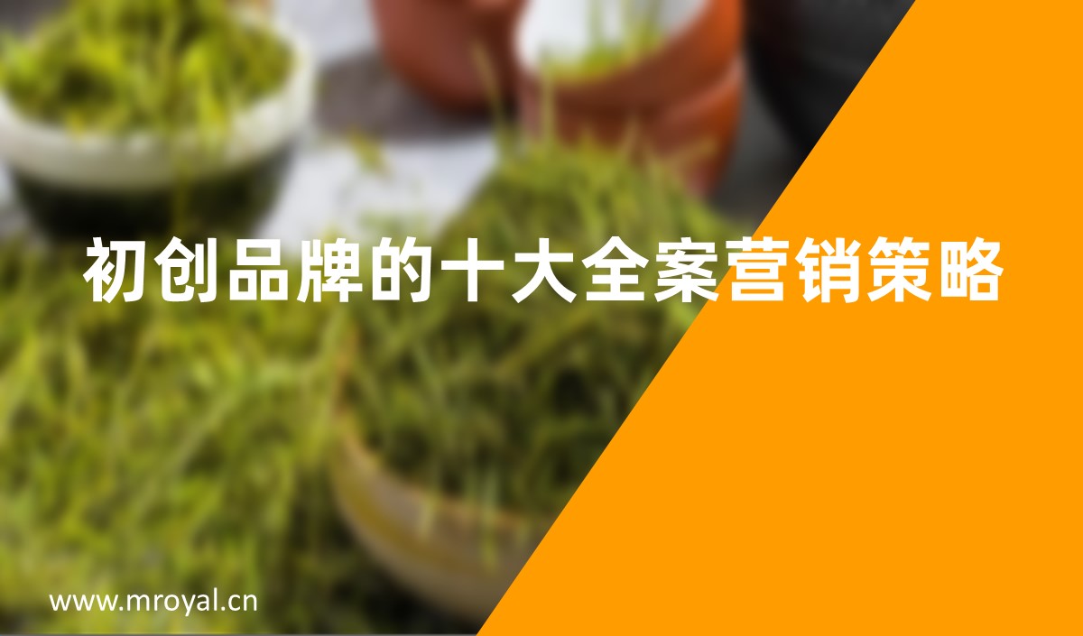 初創(chuàng)品牌的十大全案營(yíng)銷策略