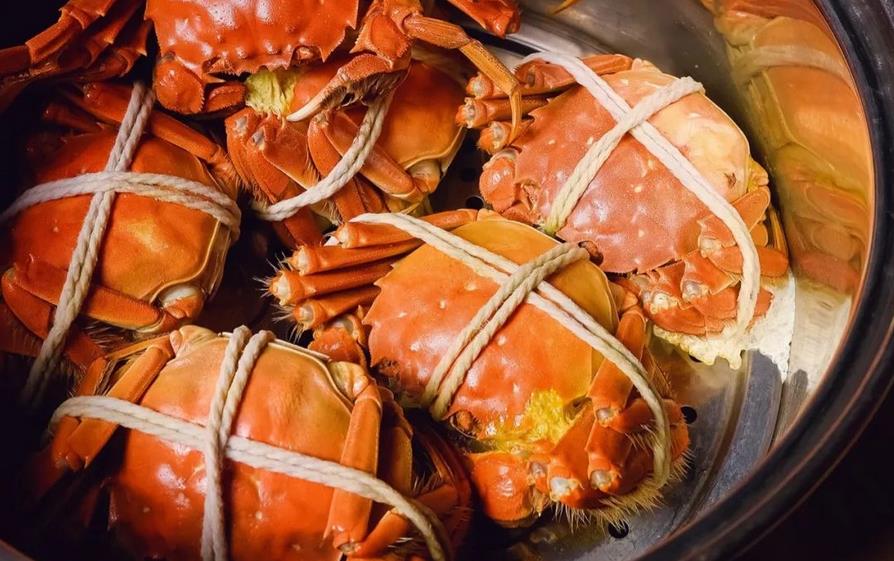 陽(yáng)澄湖大閘蟹品牌全案策劃