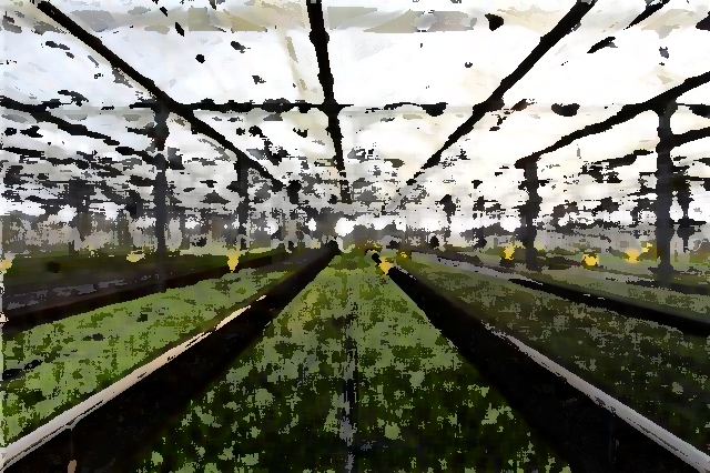 農業(yè)企業(yè)品牌提升 推進農業(yè)品牌工作