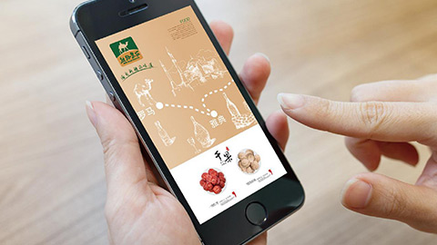 農業(yè)品牌策劃,農產品品牌設計