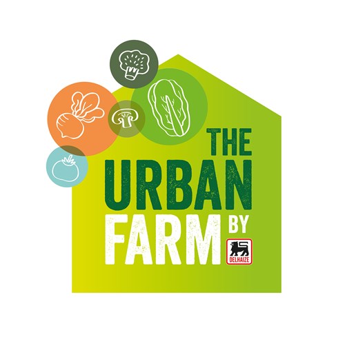 一套時(shí)尚的農(nóng)業(yè)品牌設(shè)計(jì)，設(shè)計(jì)簡(jiǎn)潔明了，用色鮮明，讓人看了過(guò)目不忘，值得搞農(nóng)業(yè)品牌朋友學(xué)習(xí)交流。