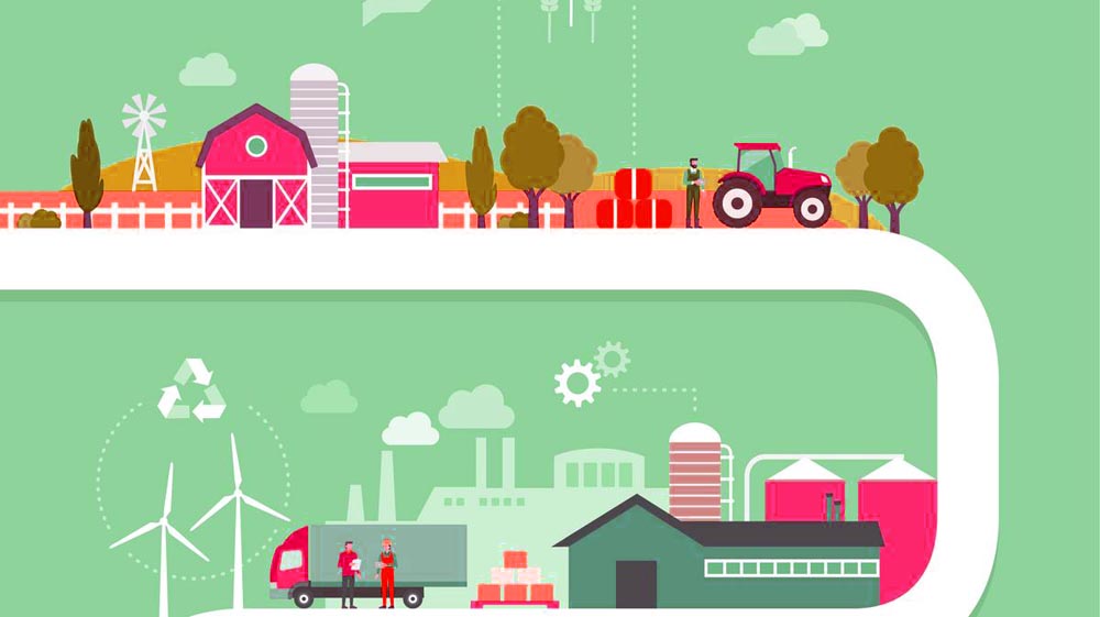 家庭農(nóng)場創(chuàng)業(yè)計(jì)劃書 上海美御農(nóng)業(yè)品牌建設(shè)