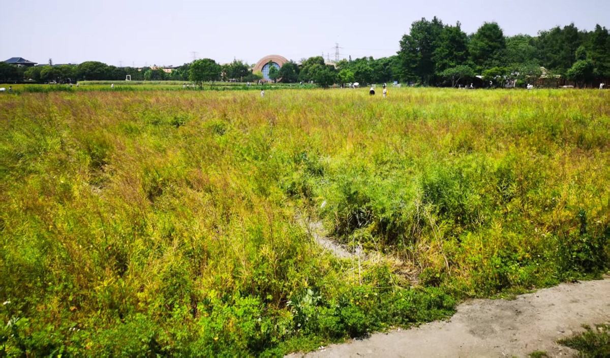 近郊農(nóng)業(yè)公司如何打造高端現(xiàn)代農(nóng)業(yè)品牌？